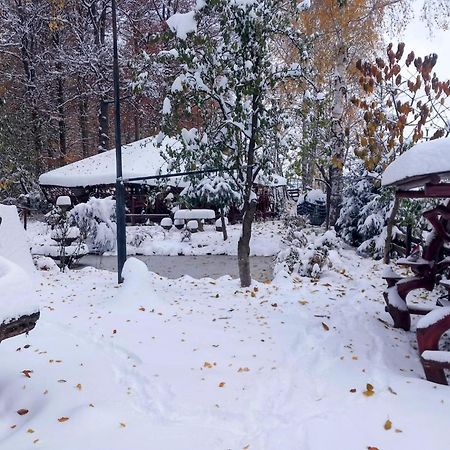 Pensiunea Emma Sîmbăta de Sus Exterior foto