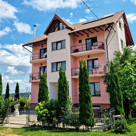 Pensiunea Emma Sîmbăta de Sus Exterior foto