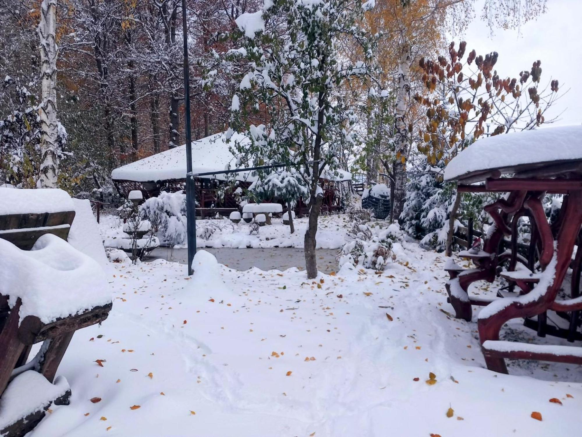 Pensiunea Emma Sîmbăta de Sus Exterior foto