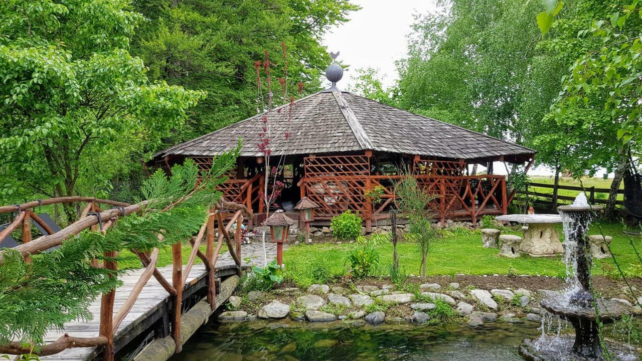 Pensiunea Emma Sîmbăta de Sus Exterior foto